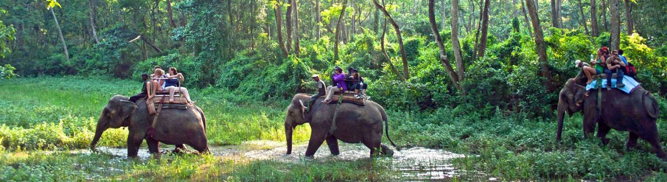 Kanha National Park